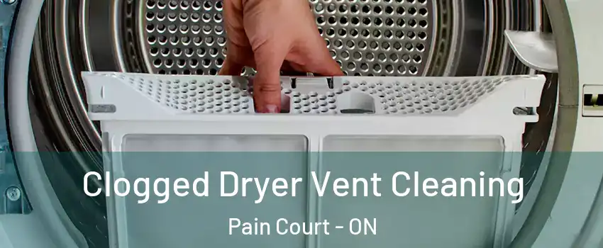  Clogged Dryer Vent Cleaning Pain Court - ON