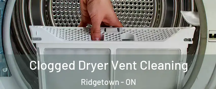  Clogged Dryer Vent Cleaning Ridgetown - ON