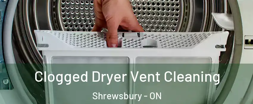 Clogged Dryer Vent Cleaning Shrewsbury - ON