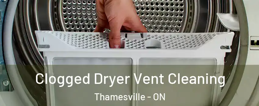  Clogged Dryer Vent Cleaning Thamesville - ON