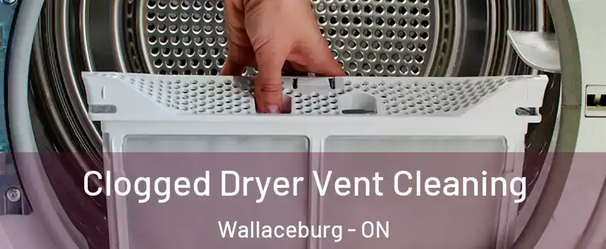  Clogged Dryer Vent Cleaning Wallaceburg - ON