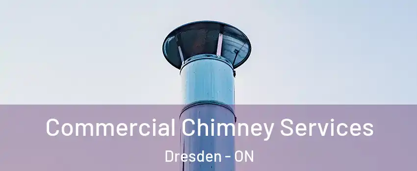  Commercial Chimney Services Dresden - ON