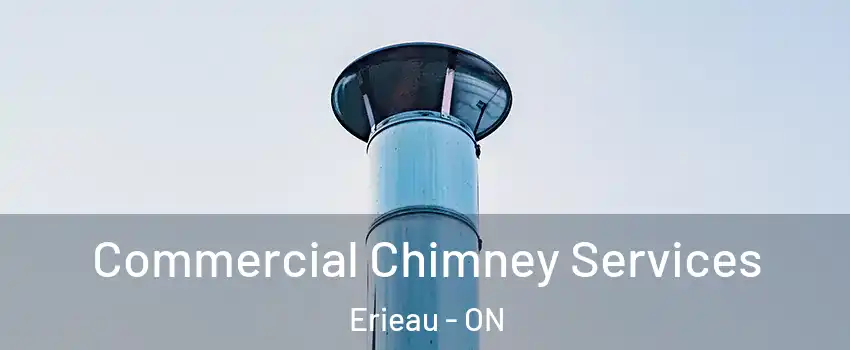  Commercial Chimney Services Erieau - ON