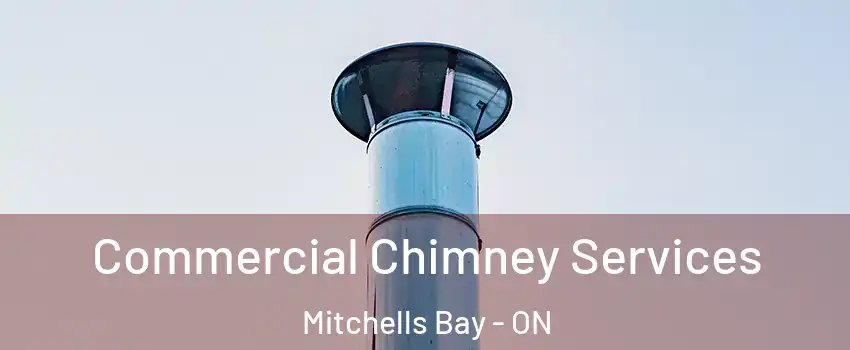  Commercial Chimney Services Mitchells Bay - ON