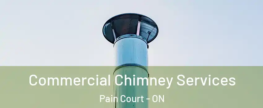  Commercial Chimney Services Pain Court - ON