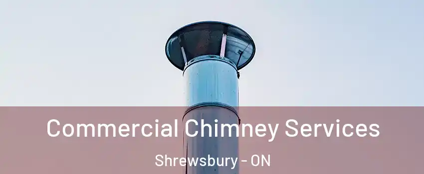  Commercial Chimney Services Shrewsbury - ON