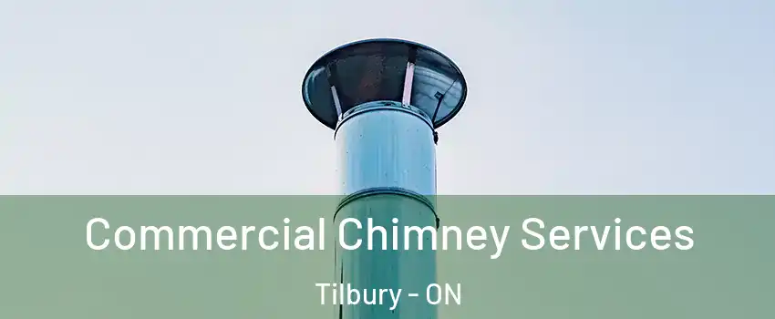  Commercial Chimney Services Tilbury - ON