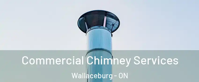  Commercial Chimney Services Wallaceburg - ON