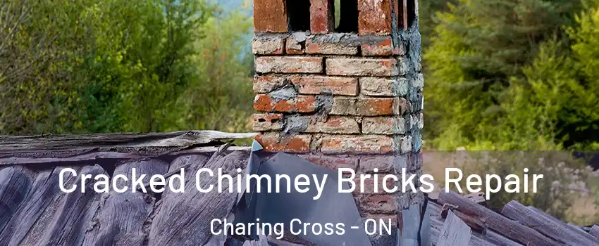  Cracked Chimney Bricks Repair Charing Cross - ON