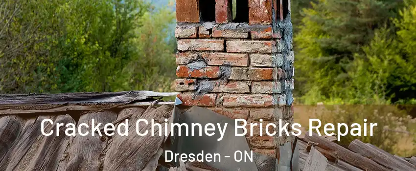  Cracked Chimney Bricks Repair Dresden - ON