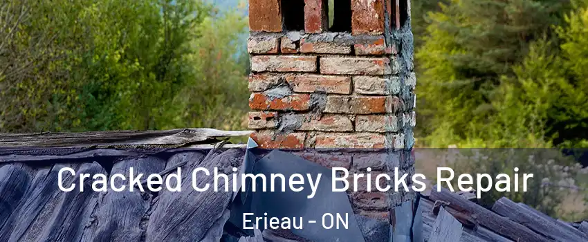  Cracked Chimney Bricks Repair Erieau - ON