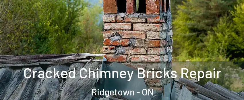  Cracked Chimney Bricks Repair Ridgetown - ON