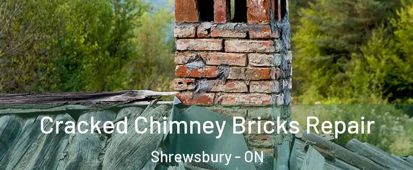  Cracked Chimney Bricks Repair Shrewsbury - ON