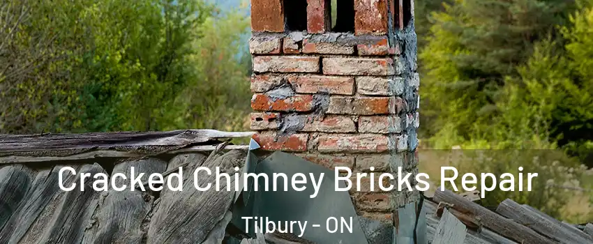  Cracked Chimney Bricks Repair Tilbury - ON