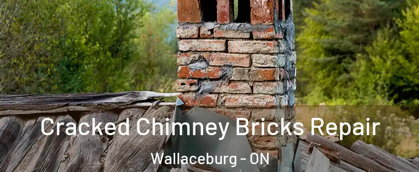 Cracked Chimney Bricks Repair Wallaceburg - ON