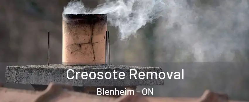  Creosote Removal Blenheim - ON