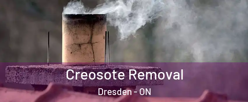  Creosote Removal Dresden - ON