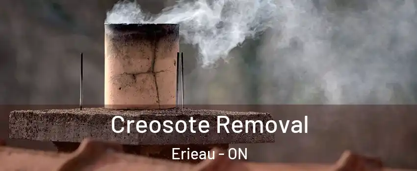  Creosote Removal Erieau - ON