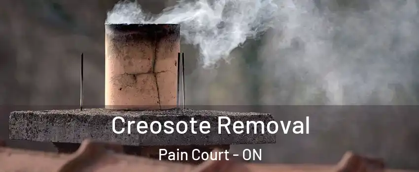  Creosote Removal Pain Court - ON