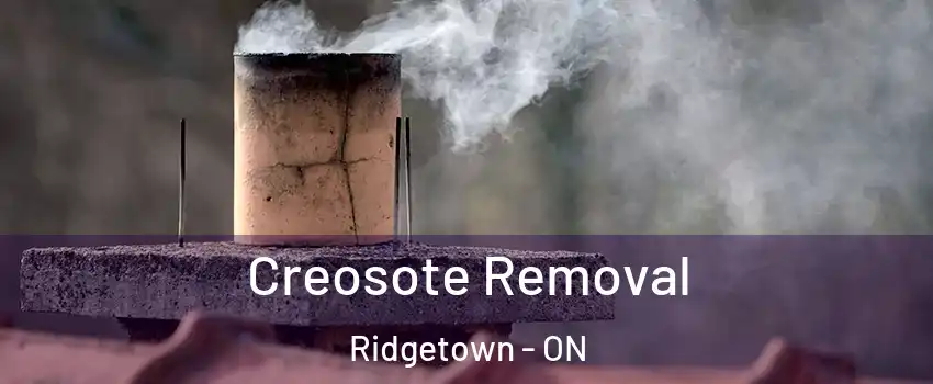  Creosote Removal Ridgetown - ON