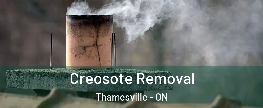  Creosote Removal Thamesville - ON