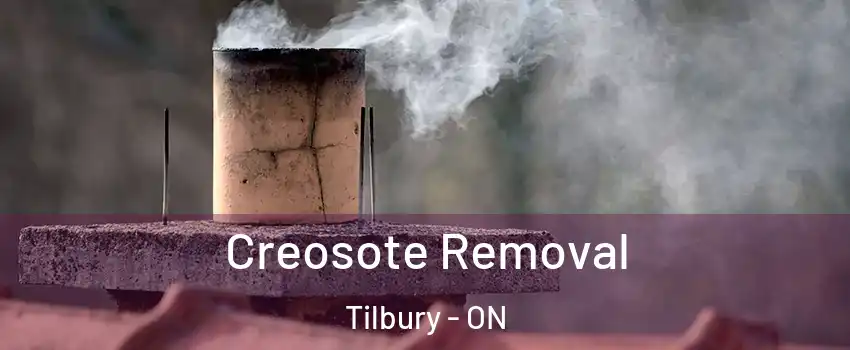  Creosote Removal Tilbury - ON