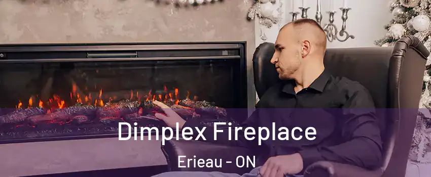  Dimplex Fireplace Erieau - ON