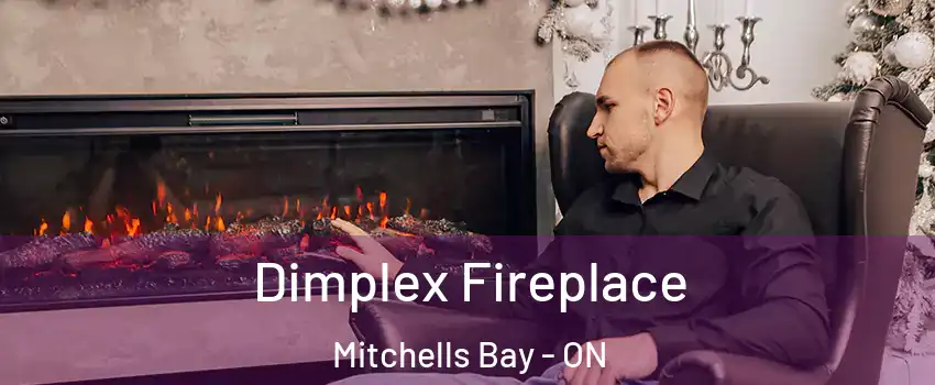  Dimplex Fireplace Mitchells Bay - ON