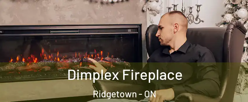  Dimplex Fireplace Ridgetown - ON