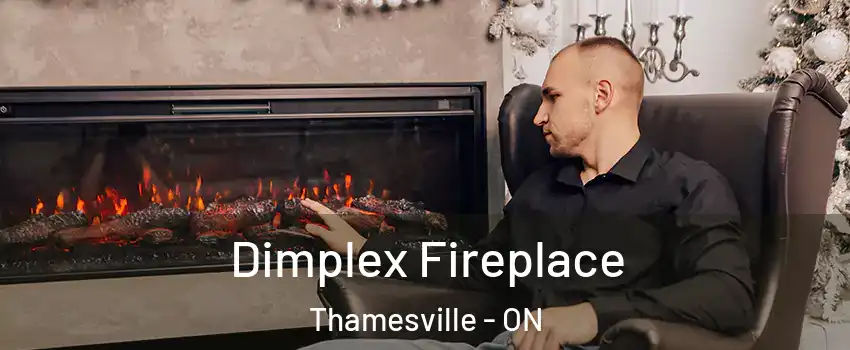  Dimplex Fireplace Thamesville - ON