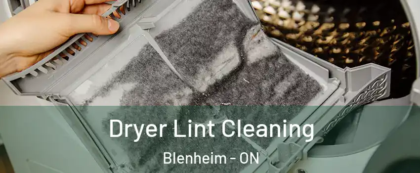  Dryer Lint Cleaning Blenheim - ON