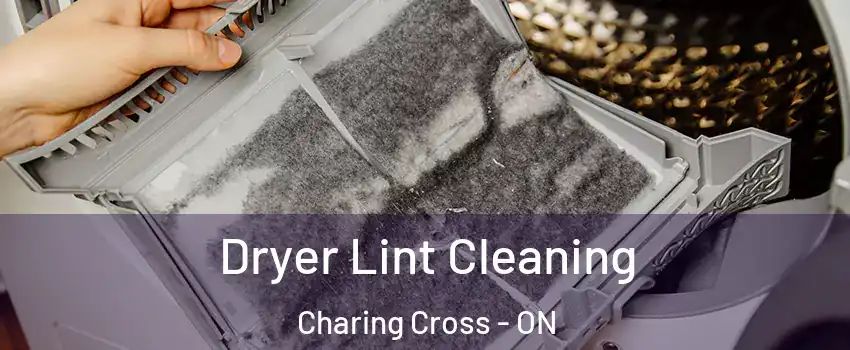  Dryer Lint Cleaning Charing Cross - ON