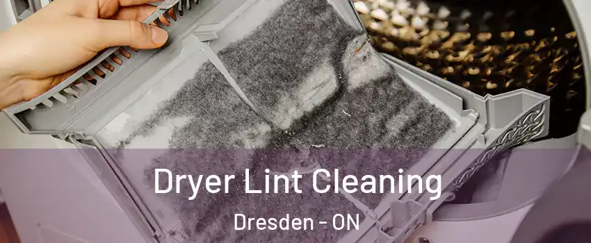  Dryer Lint Cleaning Dresden - ON
