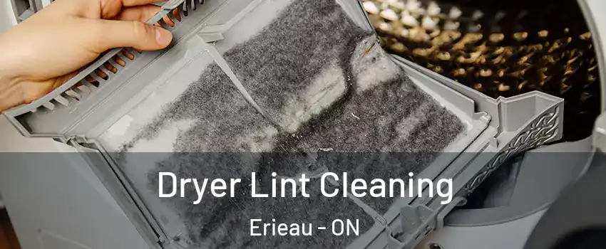  Dryer Lint Cleaning Erieau - ON