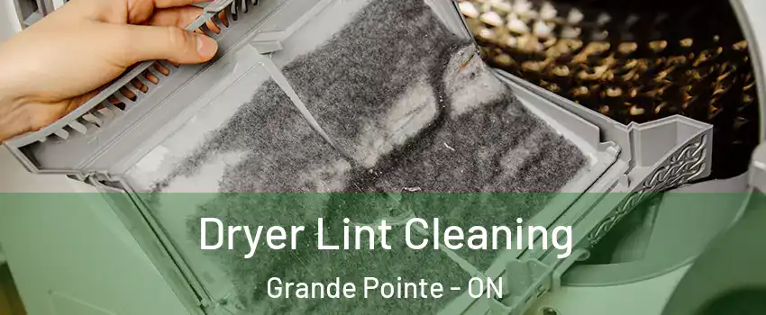  Dryer Lint Cleaning Grande Pointe - ON