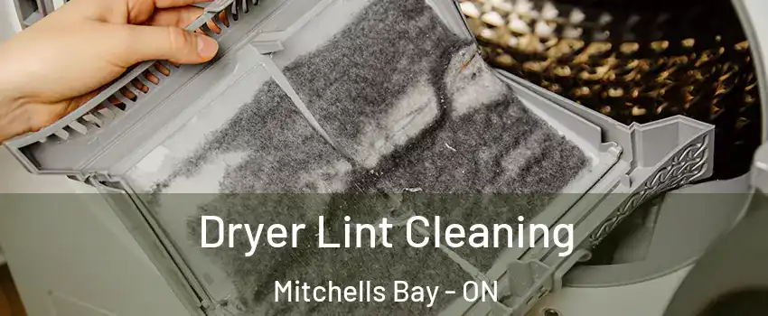  Dryer Lint Cleaning Mitchells Bay - ON