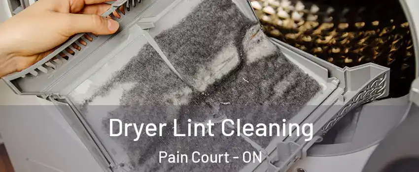  Dryer Lint Cleaning Pain Court - ON