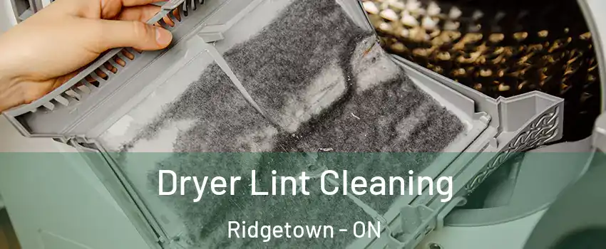  Dryer Lint Cleaning Ridgetown - ON