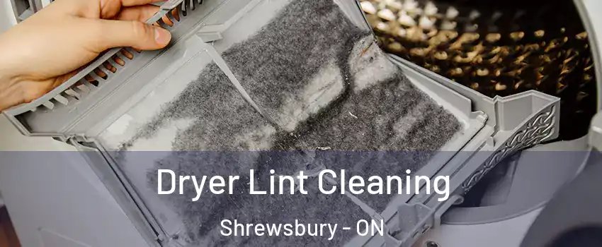  Dryer Lint Cleaning Shrewsbury - ON