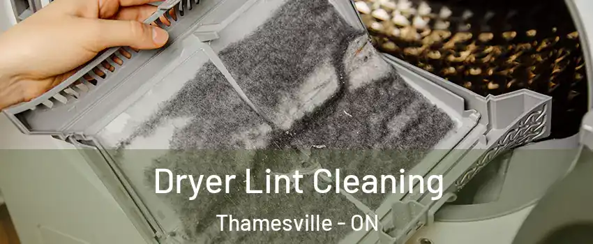  Dryer Lint Cleaning Thamesville - ON