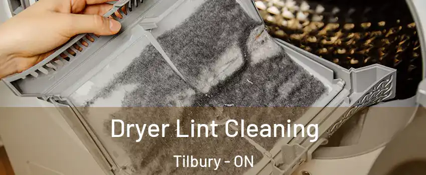  Dryer Lint Cleaning Tilbury - ON