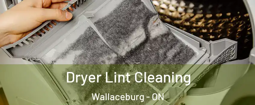 Dryer Lint Cleaning Wallaceburg - ON