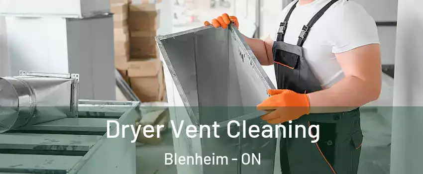 Dryer Vent Cleaning Blenheim - ON