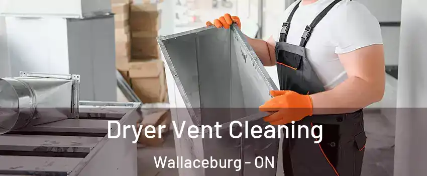  Dryer Vent Cleaning Wallaceburg - ON