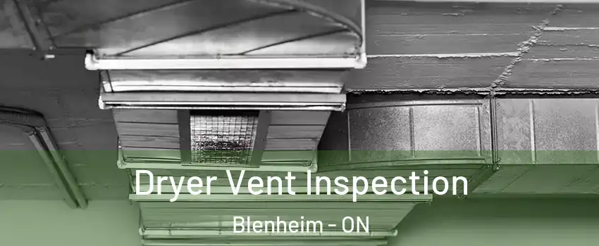  Dryer Vent Inspection Blenheim - ON