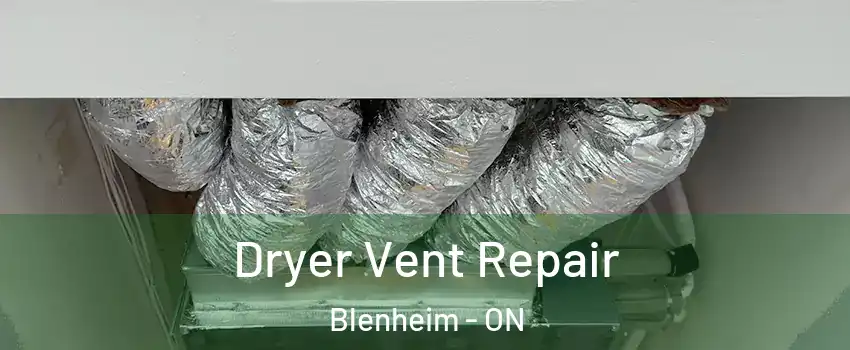  Dryer Vent Repair Blenheim - ON