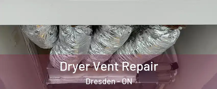  Dryer Vent Repair Dresden - ON