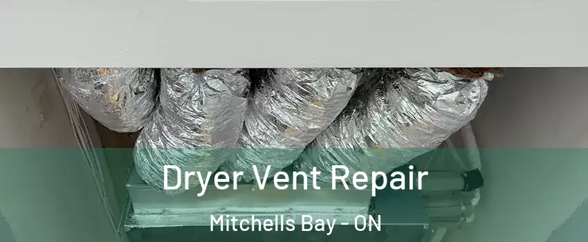  Dryer Vent Repair Mitchells Bay - ON