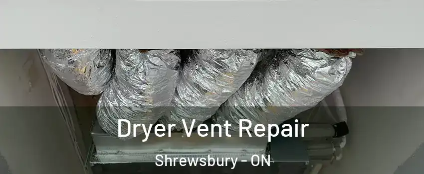  Dryer Vent Repair Shrewsbury - ON