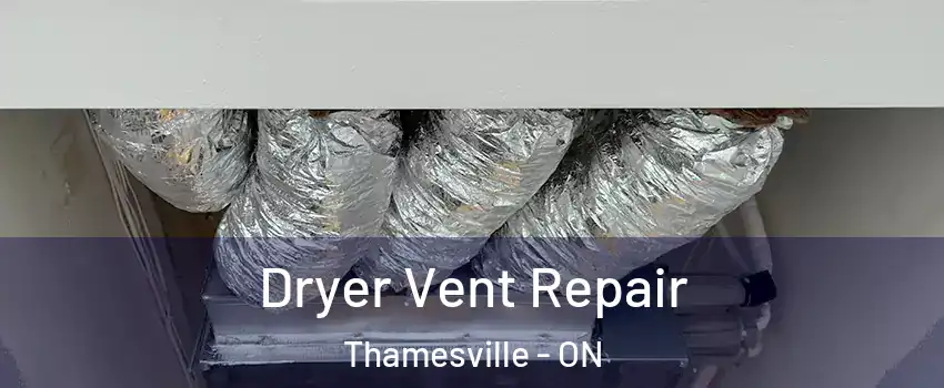 Dryer Vent Repair Thamesville - ON